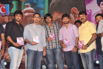Chikkadu Dorakadu Audio Launch